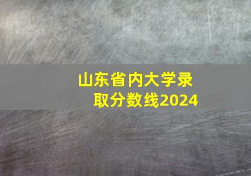 山东省内大学录取分数线2024