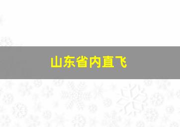 山东省内直飞