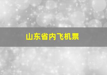 山东省内飞机票