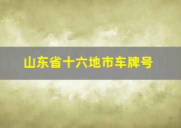 山东省十六地市车牌号