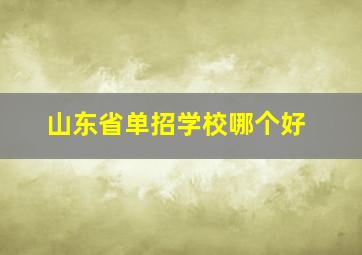 山东省单招学校哪个好