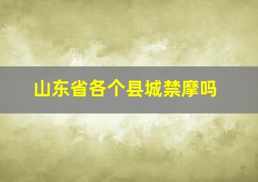 山东省各个县城禁摩吗