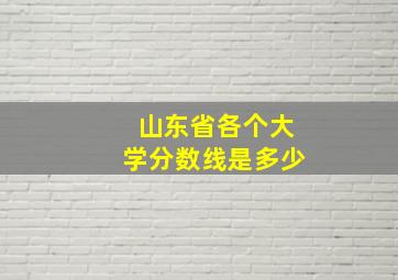 山东省各个大学分数线是多少