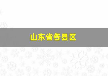 山东省各县区