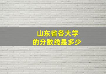 山东省各大学的分数线是多少