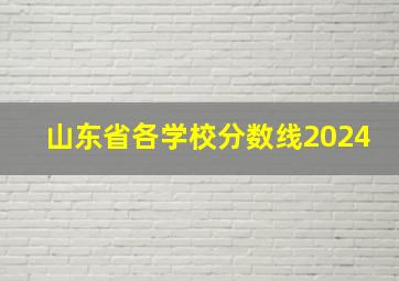 山东省各学校分数线2024