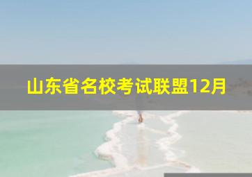 山东省名校考试联盟12月