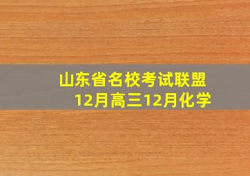 山东省名校考试联盟12月高三12月化学