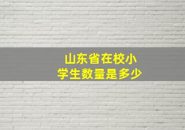 山东省在校小学生数量是多少