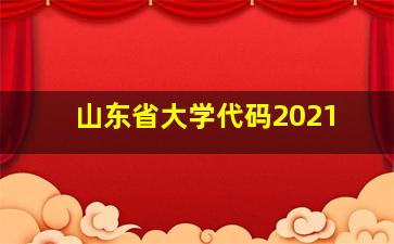 山东省大学代码2021