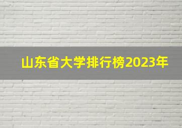 山东省大学排行榜2023年