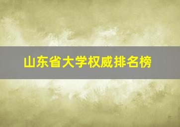 山东省大学权威排名榜