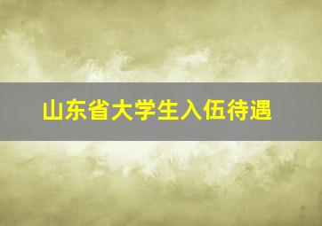 山东省大学生入伍待遇