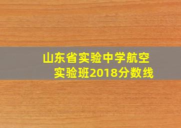 山东省实验中学航空实验班2018分数线