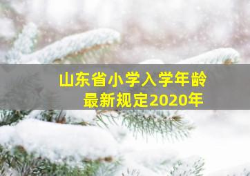 山东省小学入学年龄最新规定2020年