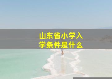 山东省小学入学条件是什么