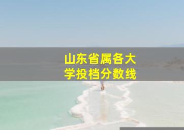 山东省属各大学投档分数线