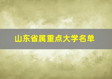 山东省属重点大学名单