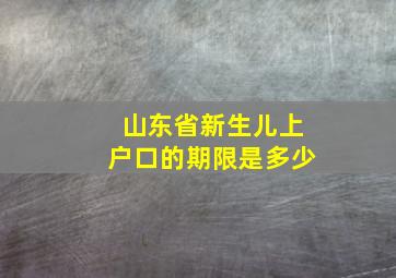 山东省新生儿上户口的期限是多少