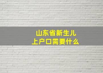 山东省新生儿上户口需要什么