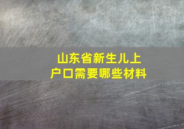 山东省新生儿上户口需要哪些材料