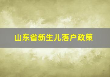 山东省新生儿落户政策