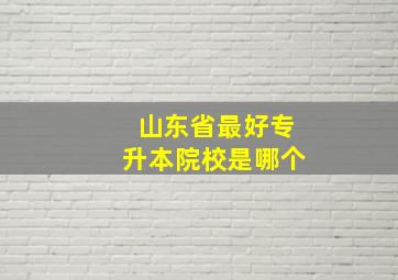 山东省最好专升本院校是哪个