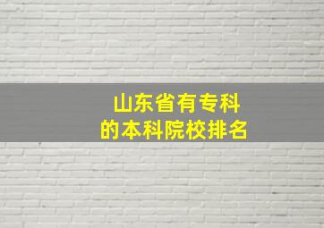 山东省有专科的本科院校排名