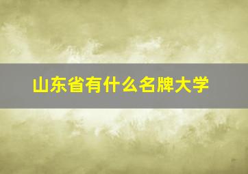 山东省有什么名牌大学