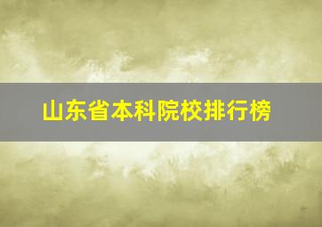 山东省本科院校排行榜