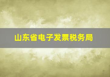 山东省电子发票税务局