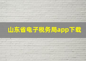 山东省电子税务局app下载