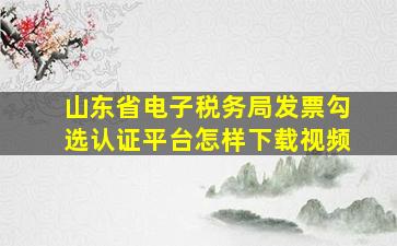 山东省电子税务局发票勾选认证平台怎样下载视频