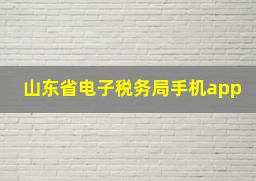 山东省电子税务局手机app