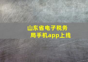 山东省电子税务局手机app上线