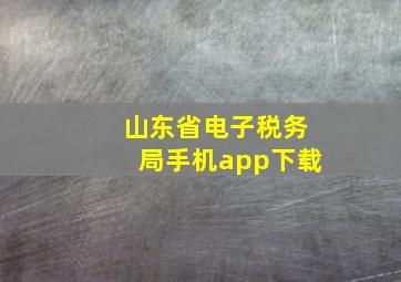 山东省电子税务局手机app下载