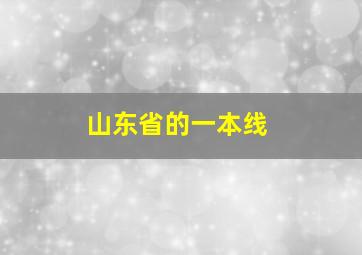 山东省的一本线