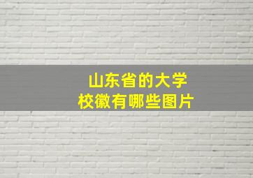 山东省的大学校徽有哪些图片