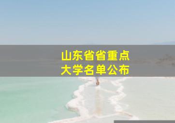 山东省省重点大学名单公布