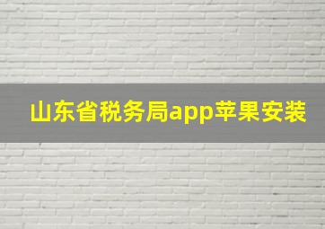 山东省税务局app苹果安装