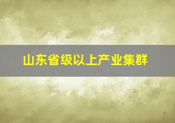 山东省级以上产业集群