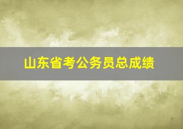 山东省考公务员总成绩