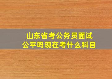 山东省考公务员面试公平吗现在考什么科目