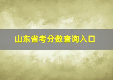 山东省考分数查询入口