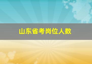 山东省考岗位人数