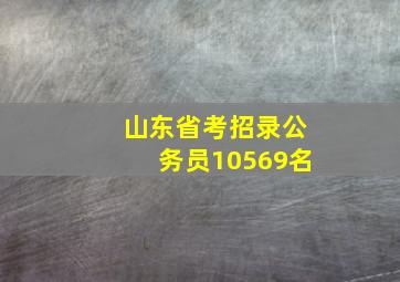 山东省考招录公务员10569名