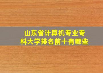 山东省计算机专业专科大学排名前十有哪些