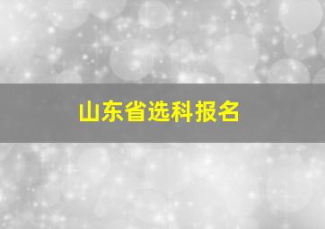 山东省选科报名