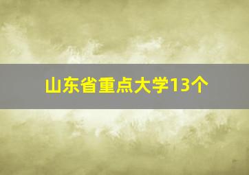 山东省重点大学13个