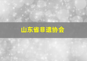 山东省非遗协会